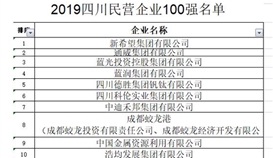 德胜集团位列 2019四川省民营企业100强第5位