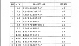 德胜钒钛成功入围“四川省第一批工业 资源综合利用示范基地企业”