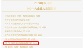 集团位列2020四川省100户大企业大集团名单第22位