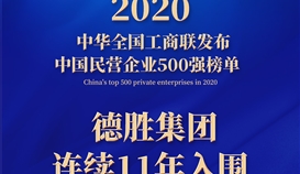 连续11年，乐山唯一！集团上榜2020中国民营企业500强